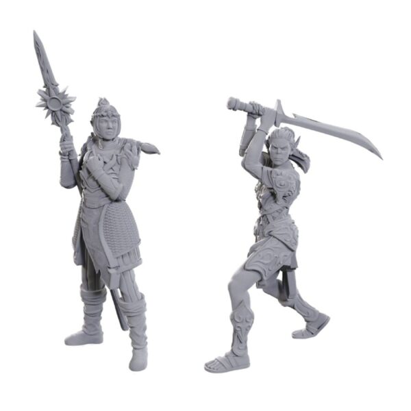 Dungeons & Dragons Nolzur's: SE Baldur's Gate 3 - Lae'zel & Shadowheart