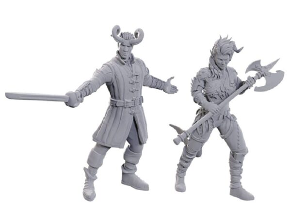 Dungeons & Dragons Nolzur's: SE Baldur's Gate 3 - Wyll & Karlach