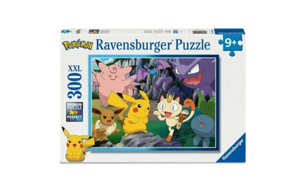 Pokemon Gotta Catch Em All Puzzle 300 Pieces XXL