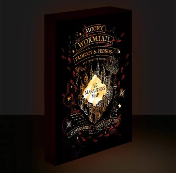 Harry Potter Marauders Map Light Canvas 40x30cm