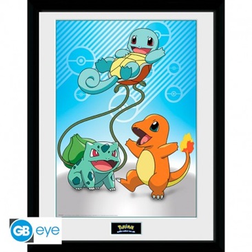 Pokemon Kanto Starter Frame 30x40cm