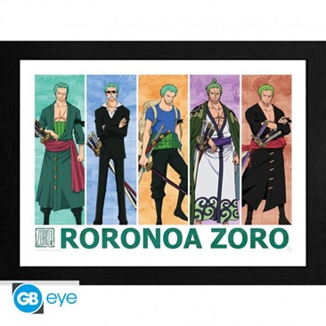 One Piece Zoro The Pirate Hunter Frame 30x40cm