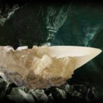 Harry Potter The Crystal Goblet