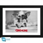 Gremlins Gizmo Frame 30x40cm