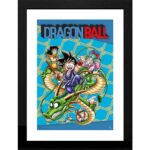 Dragon Ball Cover Frame 30x40cm