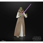 Star Wars The Black Series The Acolyte Jedi Master Venestra Rwoh Hasbro Figure