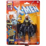 Marvel Storm Legends Series Hasbro Figure