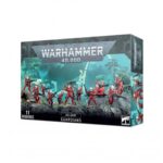 Warhammer 40,000 Aeldari Guardians (46-09)