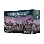 Warhammer 40,000 Emperor's Children Tormentors (37-11)