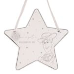 Disney Toy Story Woody Ceramic Decorative Plaque