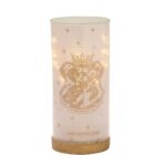 Harry Potter Lumos Tube Light