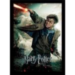 Harry Potter Deathly Hollows Part 2 Wand Collector Print 30x40cm