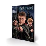 Harry Potter Harry, Ron & Hermione Printing On Wood 40x59cm