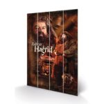 Harry Potter Hagrid Print On Wood 40x59cm