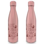 Disney Princess (Thirsty Work) Metal Bottle 550ml