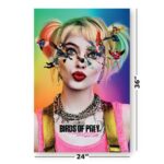 DC Harley Quinn Birds of Prey Seeing Stars Poster 61x91cm