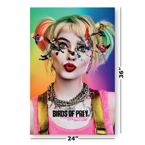 DC Harley Quinn Birds of Prey Seeing Stars Poster 61x91cm