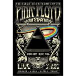 Pink Floyd 1973 Poster 61x91cm