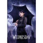 Wednesday Downpour Poster 61x91cm