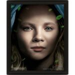 The Witcher 3D Lenticular Framed Picture