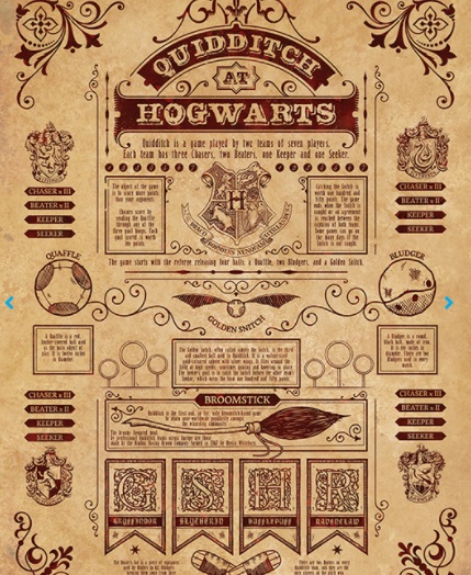 Harry Potter Quidditch At Hogwarts Wood Print 20x29.5cm