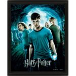 Harry Potter Order of the Phoenix 3D Lenticular Poster