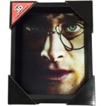 Harry Potter 3D Lenticular Framed Picture