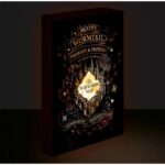 Harry Potter Marauders Map Light Canvas 40x30cm