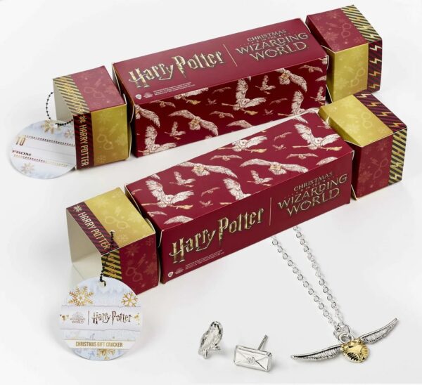 Harry Potter Hedwig Necklace & Earrings Gift Cracker