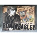 Harry Potter Ron Weasley Film Artefact Boxes