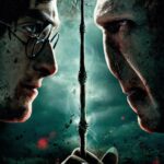Harry Potter vs Voldemort Glass Print 30x40cm