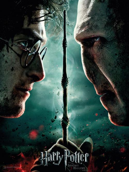 Harry Potter vs Voldemort Glass Print 30x40cm