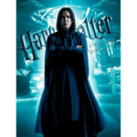 Harry Potter Snape Glass Print 30x40cm
