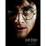 Harry Potter Harry Face Glass Print 30x40cm