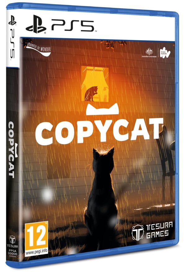 PS5 Copycat