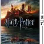 Harry Potter & The Deathly Hallows Poster 61x91cm