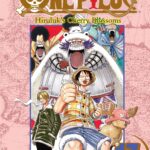 One Piece Vol. 17