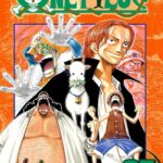 One Piece Vol. 25