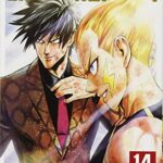 One-Punch Man Vol. 14