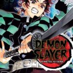 Demon Slayer - Kimetsu No Yaiba Vol. 10