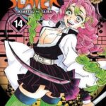 Demon Slayer - Kimetsu No Yaiba Vol. 14