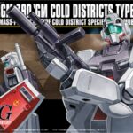 Gundam RGM-79D Cold District Type HGUC 1/144 Bandai Model Kit