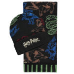 Harry Potter Colors Beanie & Scarf Gift Set