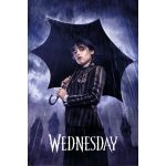 Wednesday Downpour Poster 61x91cm
