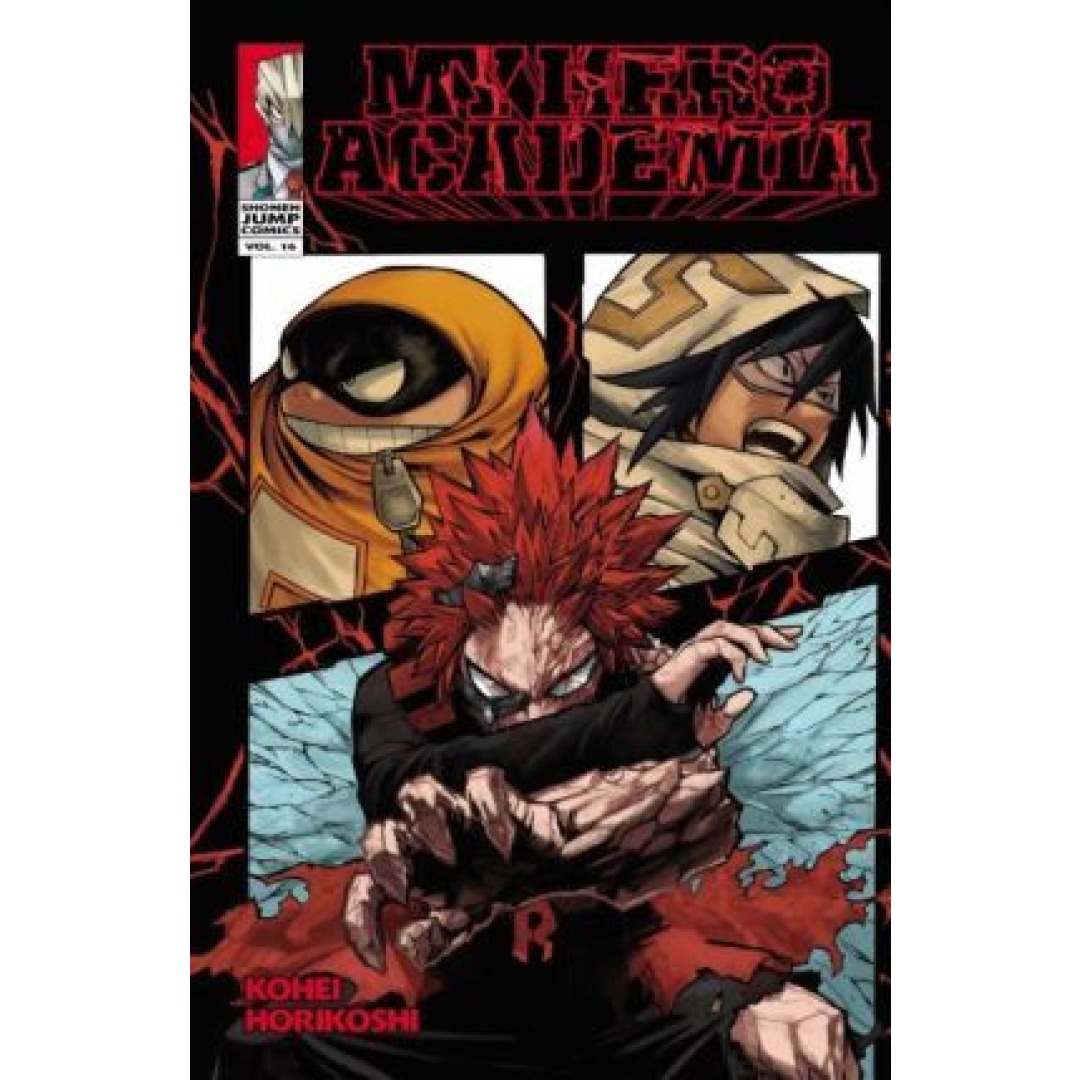 19c492789fa5d9b941fe995f99ea19f2.jpg My Hero Academia Vol. 16 - Image 1