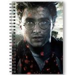 Harry Potter Face 3D Effect Notebook