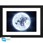 One Piece Nika Frame 30x40cm