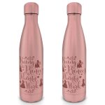 Disney Princess (Thirsty Work) Metal Bottle 550ml