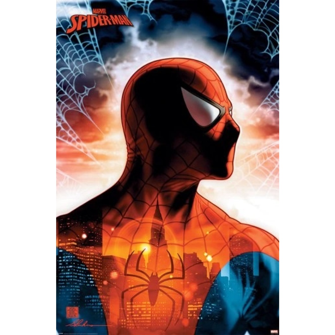 2732a351b8f2db6c7c0d9d7b0de9c523.jpg Marvel Spider-Man Protector Of The City Poster 61x91cm - Image 1