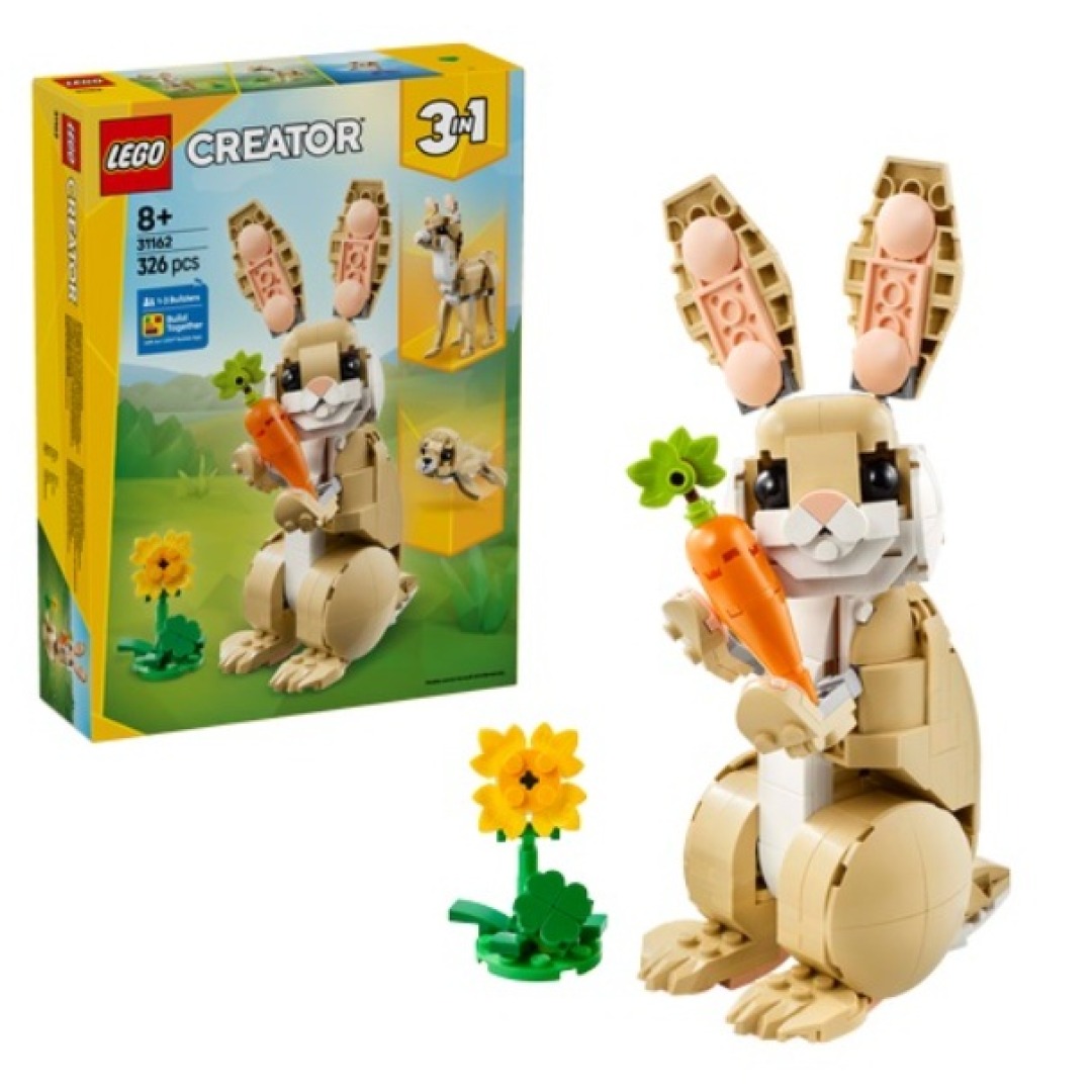 34c9580e885d276dca6fa4bc482032a7.jpg LEGO Creator 31162 Cute Bunny - Image 1